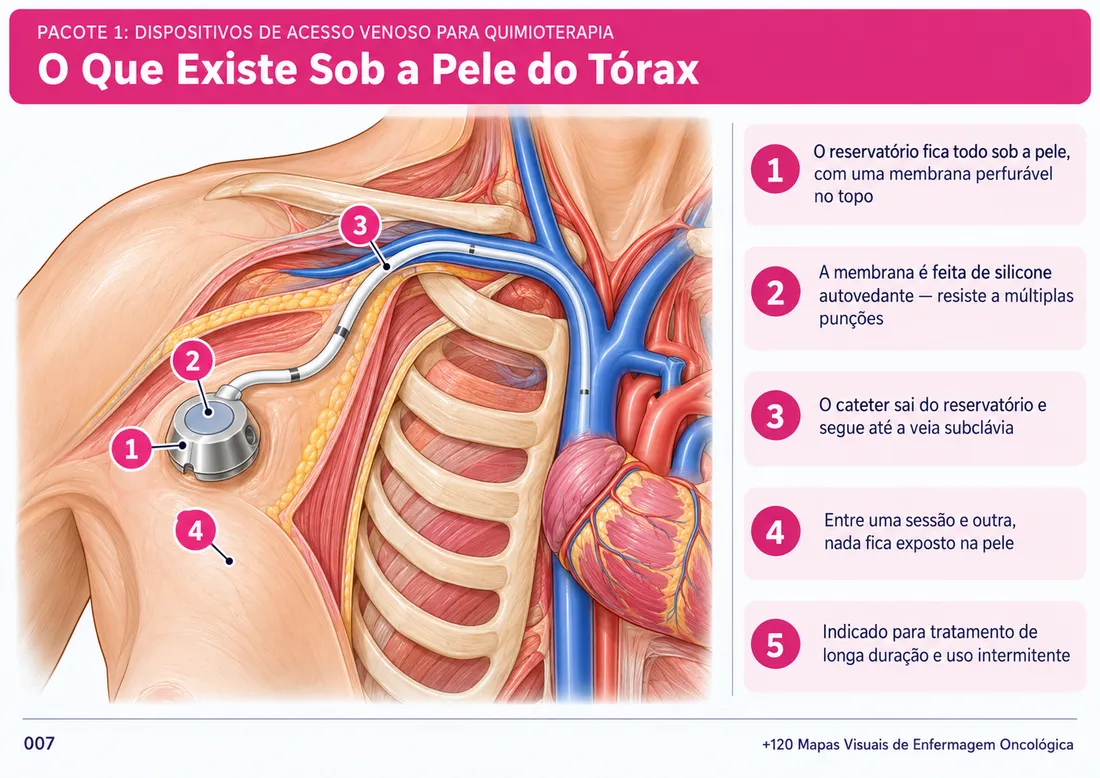 Mapa 007: O Que Existe Sob a Pele do Tórax