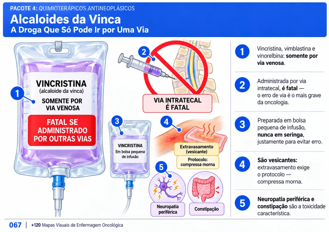 Mapa 067: A Droga Que Só Pode Ir por Uma Via